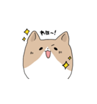 わふわふのこぎ（個別スタンプ：13）