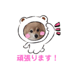 かわいいポメラニアンのさくらちゃん（個別スタンプ：15）