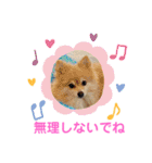 かわいいポメラニアンのさくらちゃん（個別スタンプ：27）