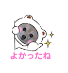 かわいいポメラニアンのさくらちゃん（個別スタンプ：28）