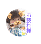たけこカップル♡（個別スタンプ：6）