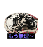 ココ姐と弾君（個別スタンプ：2）