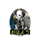 ココ姐と弾君（個別スタンプ：16）