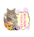 ぎんたまる(イベント用)（個別スタンプ：4）