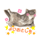 ぎんたまる(イベント用)（個別スタンプ：5）
