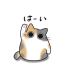 もちゃねこパステル三毛（個別スタンプ：6）