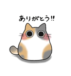 もちゃねこパステル三毛（個別スタンプ：11）