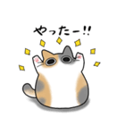 もちゃねこパステル三毛（個別スタンプ：13）