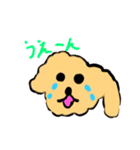 うちのおいぬさますたんぷ（個別スタンプ：7）
