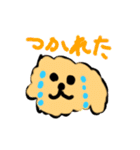 うちのおいぬさますたんぷ（個別スタンプ：19）