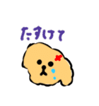 うちのおいぬさますたんぷ（個別スタンプ：21）