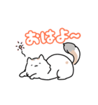 にゃんこ愛 ゆるかわ猫の日常（個別スタンプ：11）