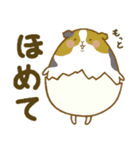 てんたま（個別スタンプ：39）