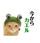 やや使いやすいタルスタンプ（個別スタンプ：10）