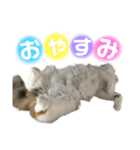 月ちゃんスタンプ！（個別スタンプ：3）
