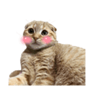 はちみつねこすたんぷ2（個別スタンプ：4）