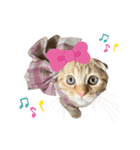 はちみつねこすたんぷ2（個別スタンプ：5）