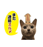ロシアンブルーねこ さくら ダジャレ NO.2（個別スタンプ：6）