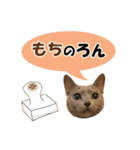 ロシアンブルーねこ さくら ダジャレ NO.2（個別スタンプ：8）