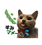 ロシアンブルーねこ さくら ダジャレ NO.2（個別スタンプ：15）