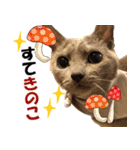 ロシアンブルーねこ さくら ダジャレ NO.2（個別スタンプ：20）