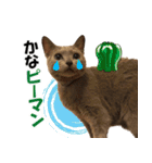 ロシアンブルーねこ さくら ダジャレ NO.2（個別スタンプ：23）