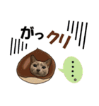 ロシアンブルーねこ さくら ダジャレ NO.2（個別スタンプ：24）