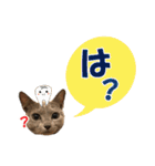 ロシアンブルーねこ さくら ダジャレ NO.2（個別スタンプ：28）