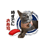 ロシアンブルーねこ さくら ダジャレ NO.2（個別スタンプ：37）