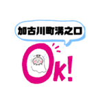 兵庫県加古川市町域おばけ加古川町野口町（個別スタンプ：11）