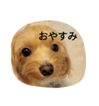 もこのしん（個別スタンプ：4）