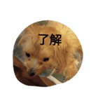 もこのしん（個別スタンプ：7）
