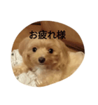 もこのしん（個別スタンプ：8）