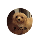 もこのしん（個別スタンプ：13）