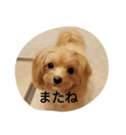 もこのしん（個別スタンプ：15）
