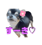 ももこの日常 冬（個別スタンプ：14）