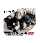 ももこの日常 冬（個別スタンプ：22）
