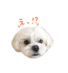 ぼく、こっぺ（個別スタンプ：4）
