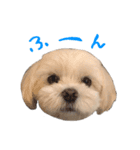 ぼく、こっぺ（個別スタンプ：5）