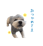 ぼく、こっぺ（個別スタンプ：7）