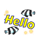 Cute Fish sticker of talking（個別スタンプ：3）