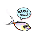 Cute Fish sticker of talking（個別スタンプ：8）