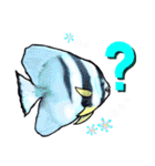 Cute Fish sticker of talking（個別スタンプ：22）