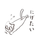 Neko and Bird 2（個別スタンプ：15）