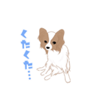 毎日使えるパピヨン犬スタンプ3（個別スタンプ：30）