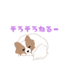 毎日使えるパピヨン犬スタンプ3（個別スタンプ：38）