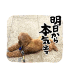 キヨッタ福丸さん（個別スタンプ：9）