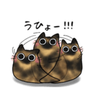 もちゃねこサビ（個別スタンプ：16）