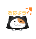 任務ネコ（個別スタンプ：3）