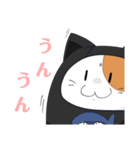 任務ネコ（個別スタンプ：6）